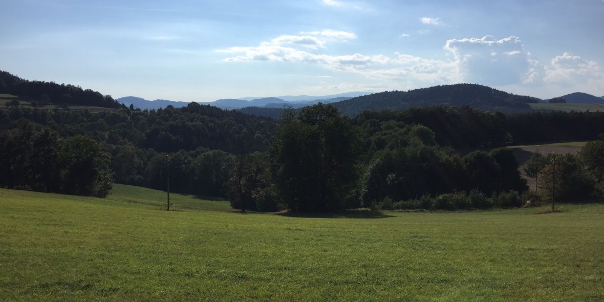 Bucklige Welt, Niederösterreich, Burgenland, Bucklige Welt, Berge, Natur, LAndschaft, Rennradblog, geradeaus